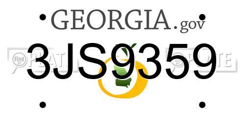 3JS9359 Georgia License Plate