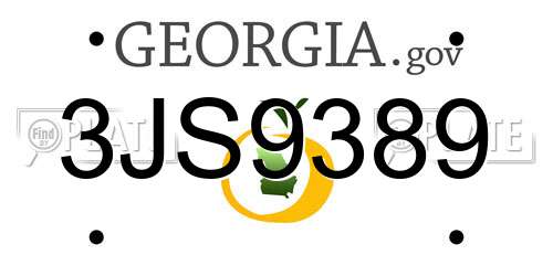 3JS9389 Georgia License Plate