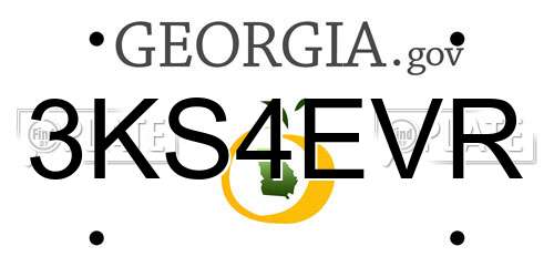 3KS4EVR Georgia License Plate