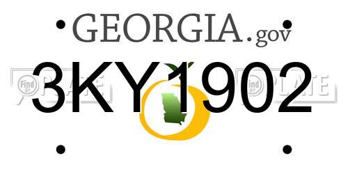 3KY1902 Georgia License Plate