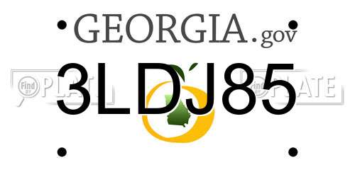 3LDJ85 Georgia License Plate