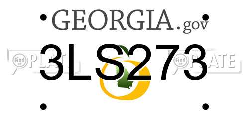 3LS273 Georgia License Plate
