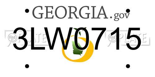 3LW0715 Georgia License Plate