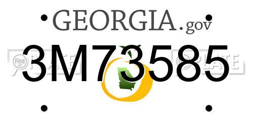 3M73585 Georgia License Plate
