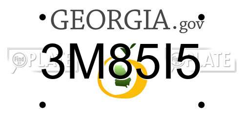 3M85I5 Georgia License Plate