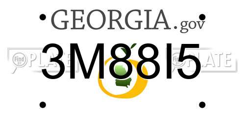 3M88I5 Georgia License Plate