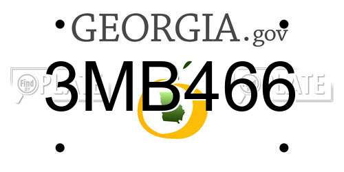 3MB466 Georgia License Plate