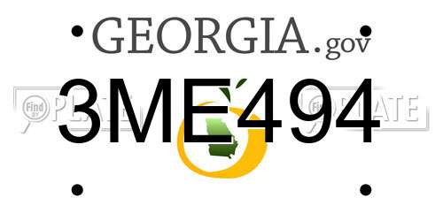 3ME494 Georgia License Plate