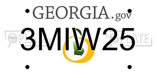 3MIW25 Georgia License Plate