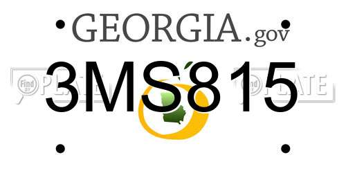 3MS815 Georgia License Plate