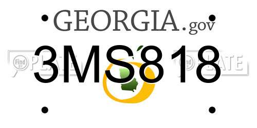 3MS818 Georgia License Plate