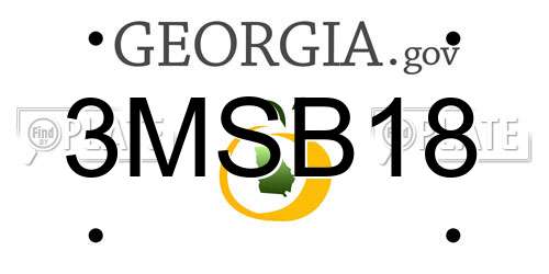 3MSB18 Georgia License Plate