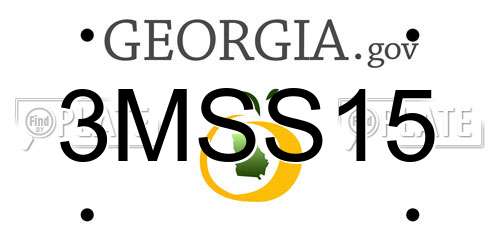 3MSS15 Georgia License Plate