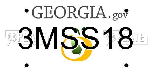 3MSS18 Georgia License Plate