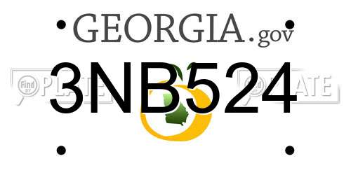 3NB524 Georgia License Plate
