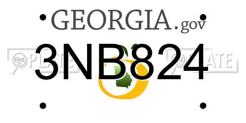 3NB824 Georgia License Plate