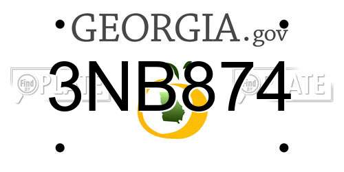 3NB874 Georgia License Plate