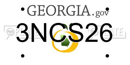 3NCS26 Georgia License Plate