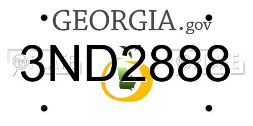 3ND2888 Georgia License Plate