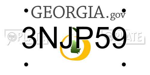 3NJP59 Georgia License Plate