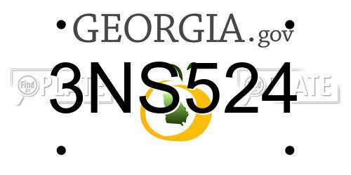 3NS524 Georgia License Plate