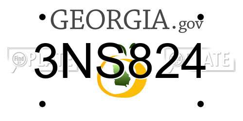 3NS824 Georgia License Plate