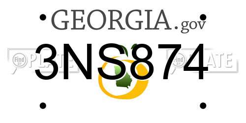 3NS874 Georgia License Plate