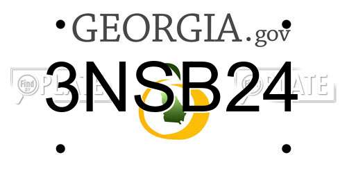3NSB24 Georgia License Plate