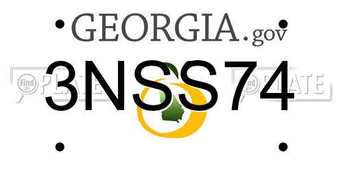 3NSS74 Georgia License Plate