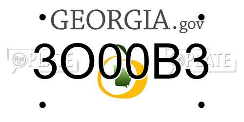 3O00B3 Georgia License Plate