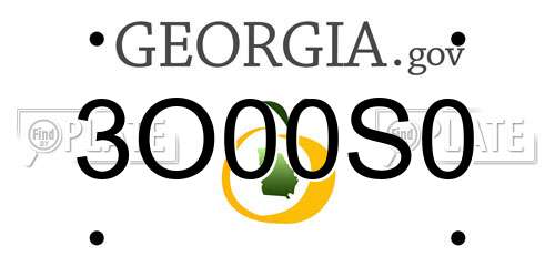 3O00S0 Georgia License Plate