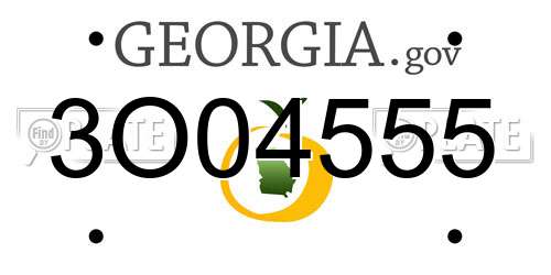 3O04555 Georgia License Plate
