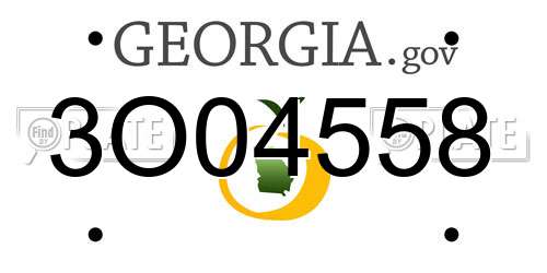 3O04558 Georgia License Plate