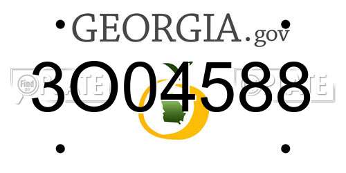 3O04588 Georgia License Plate