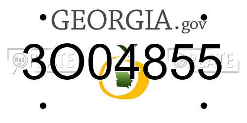 3O04855 Georgia License Plate