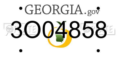 3O04858 Georgia License Plate