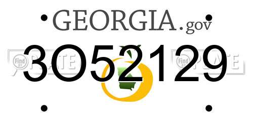 3O52129 Georgia License Plate