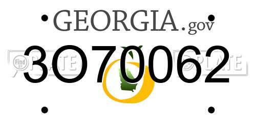 3O70062 Georgia License Plate
