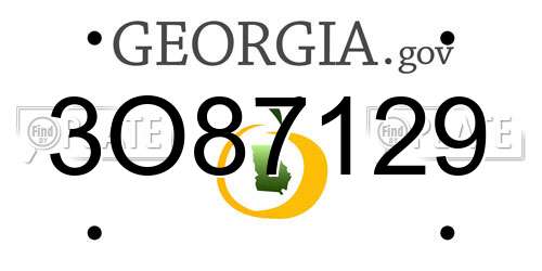 3O87129 Georgia License Plate