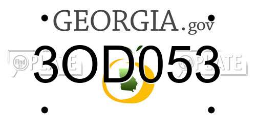 3OD053 Georgia License Plate