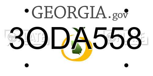 3ODA558 Georgia License Plate