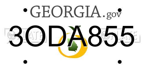 3ODA855 Georgia License Plate