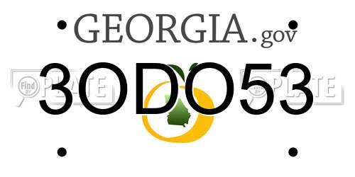 3ODO53 Georgia License Plate