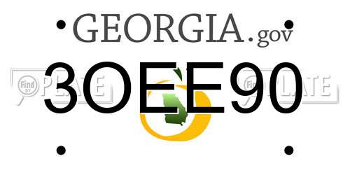 3OEE90 Georgia License Plate
