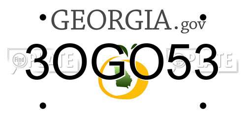 3OGO53 Georgia License Plate