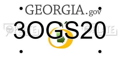 3OGS20 Georgia License Plate