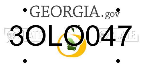 3OLO047 Georgia License Plate