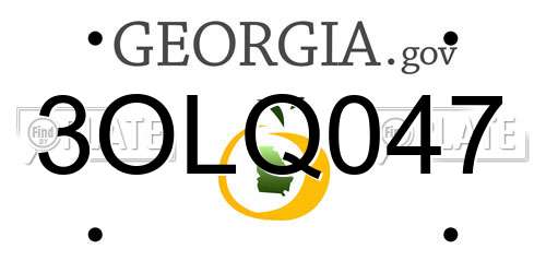 3OLQ047 Georgia License Plate