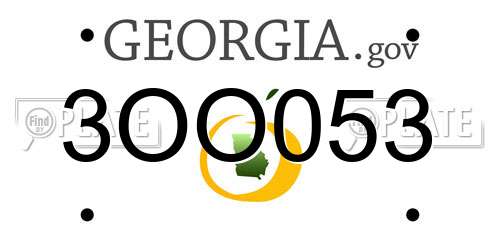 3OO053 Georgia License Plate