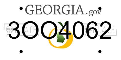 3OO4062 Georgia License Plate